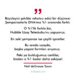 Büyüleyici şekilde rahatsız edici bir düşünce...